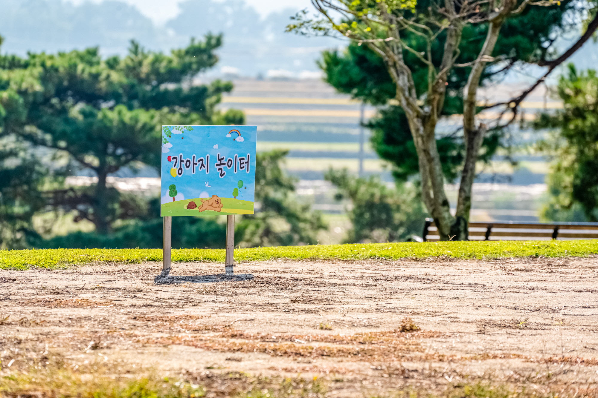 반려동물 운동장